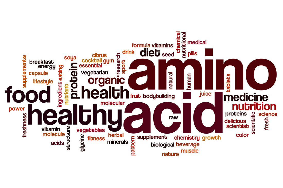 amino-acids-for-muscle-building